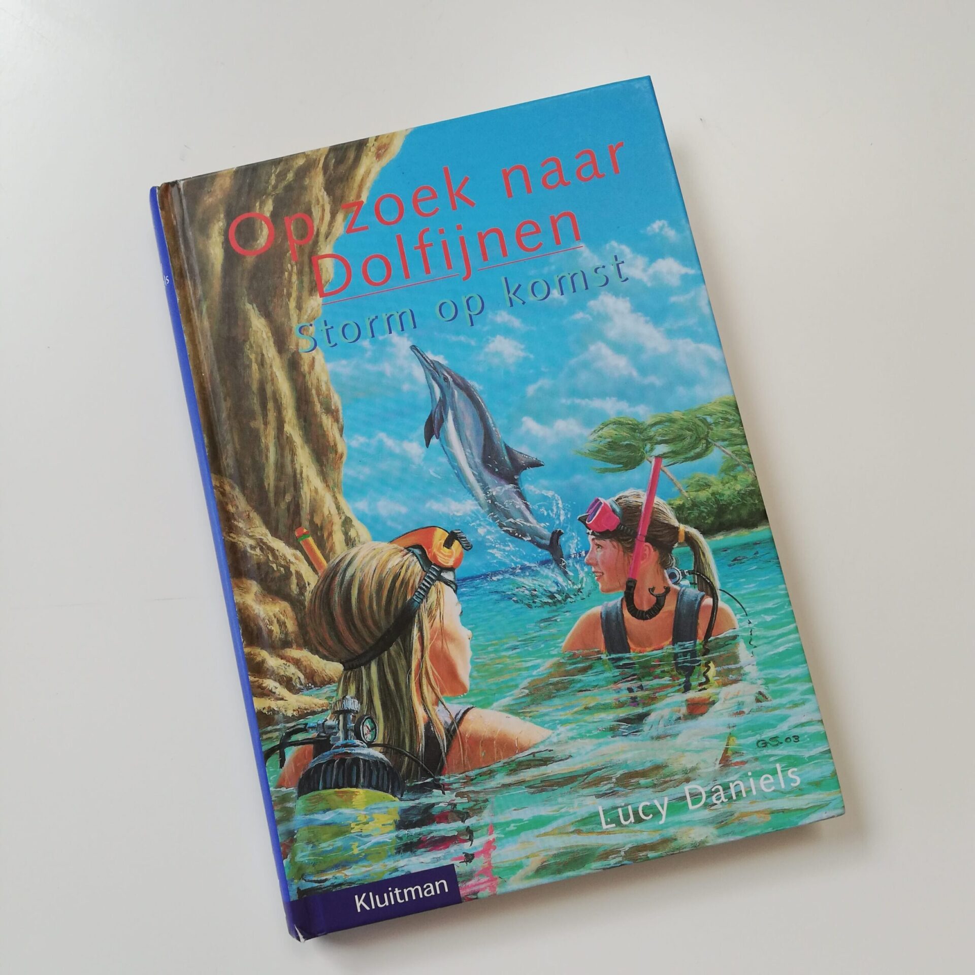 Op Zoek Naar Dolfijnen Storm Op Komst Te Koop Evensnuffelen